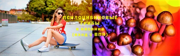 прущие крисы Арсеньев