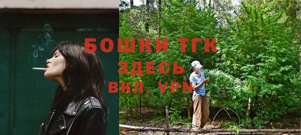 ешки Аркадак