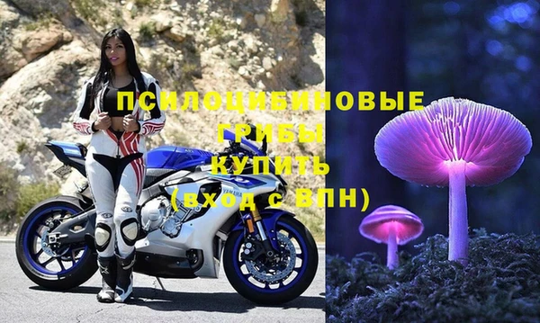 таблы Армянск