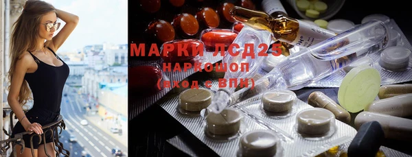 ешки Аркадак