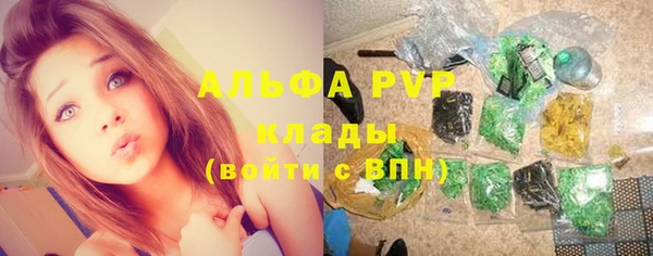 ешки Аркадак