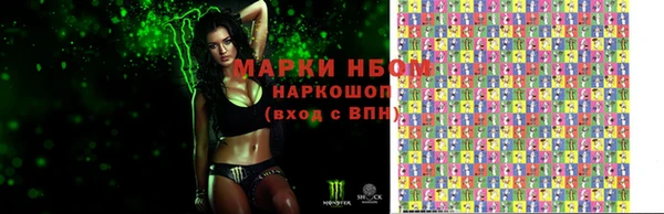 стаф Нефтегорск