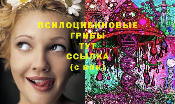 ешки Аркадак